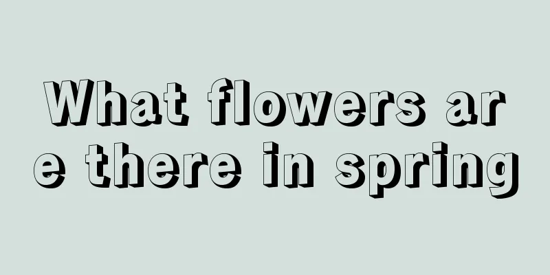 What flowers are there in spring