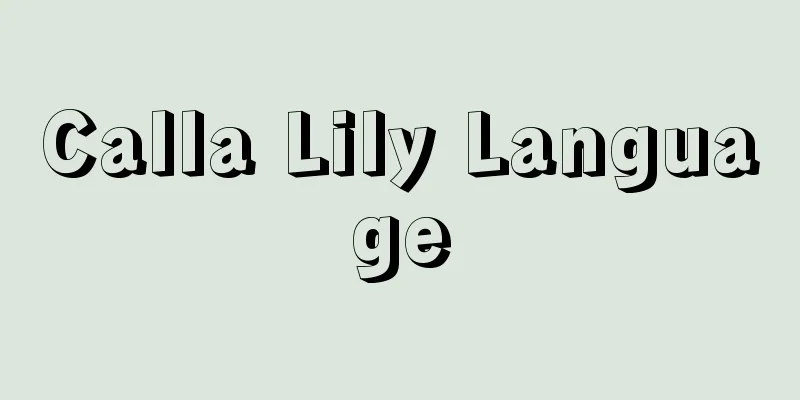 Calla Lily Language