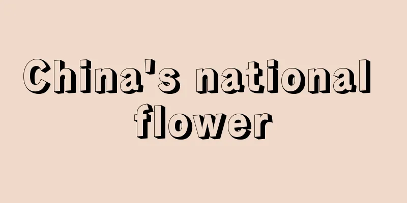 China's national flower