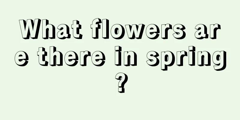 What flowers are there in spring?