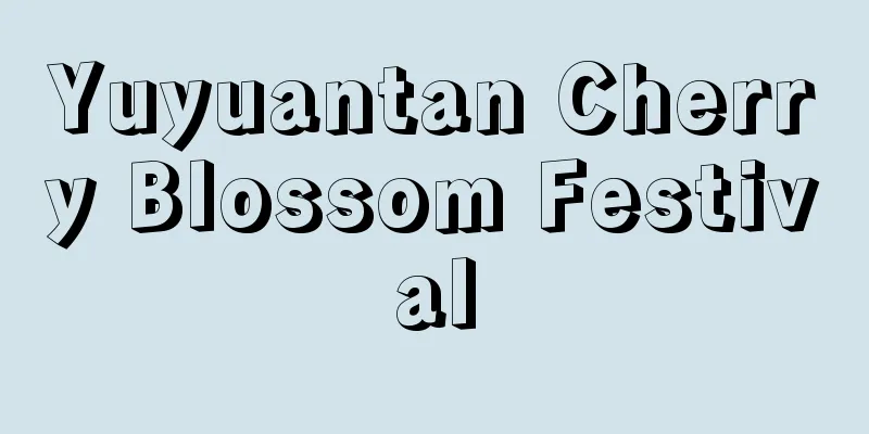 Yuyuantan Cherry Blossom Festival