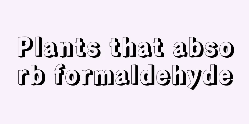 Plants that absorb formaldehyde