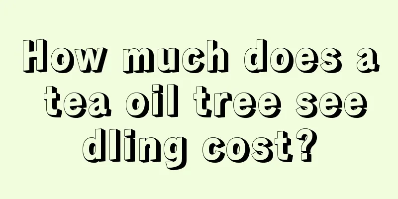 How much does a tea oil tree seedling cost?