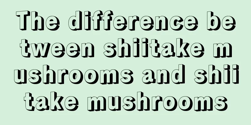 The difference between shiitake mushrooms and shiitake mushrooms