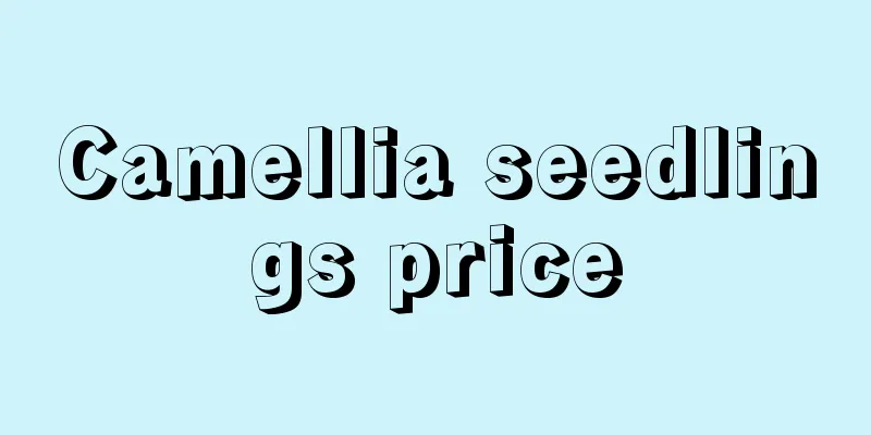 Camellia seedlings price