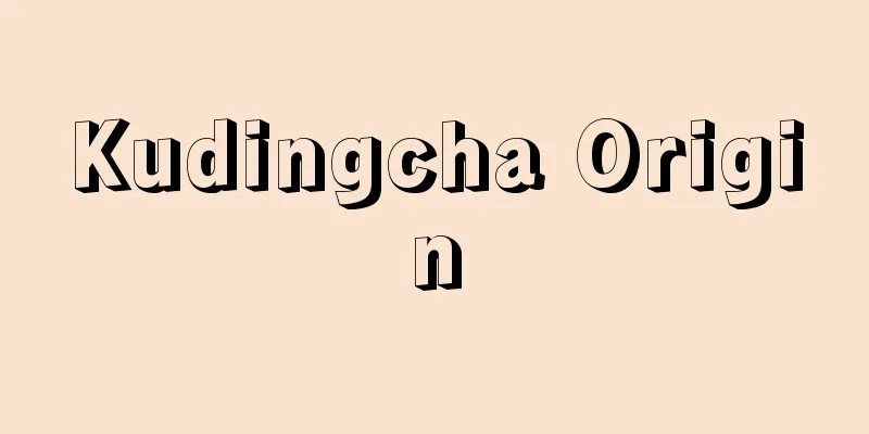 Kudingcha Origin