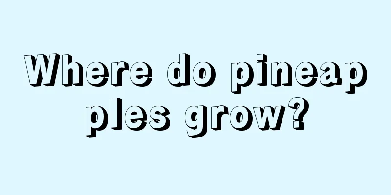 Where do pineapples grow?