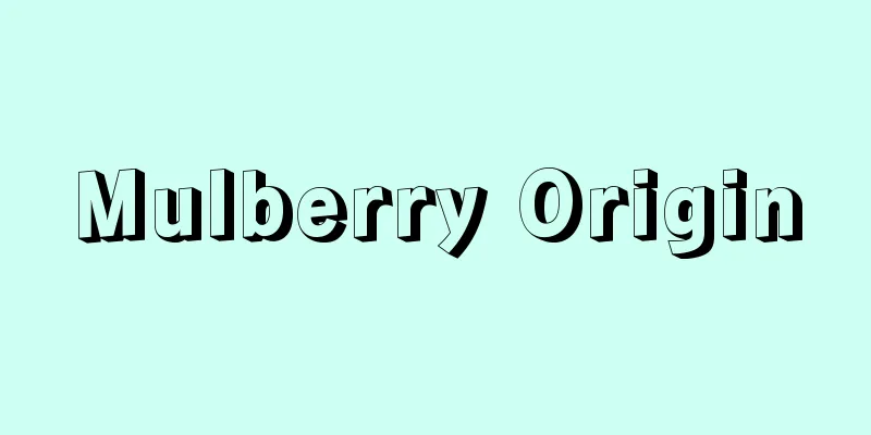 Mulberry Origin