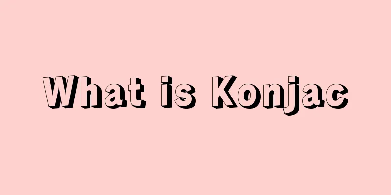 What is Konjac