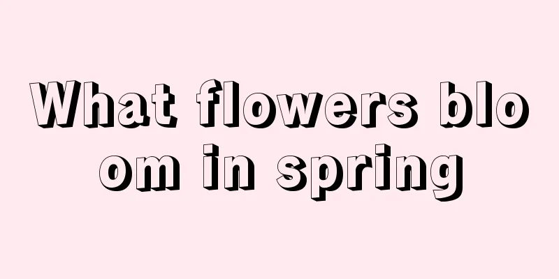 What flowers bloom in spring