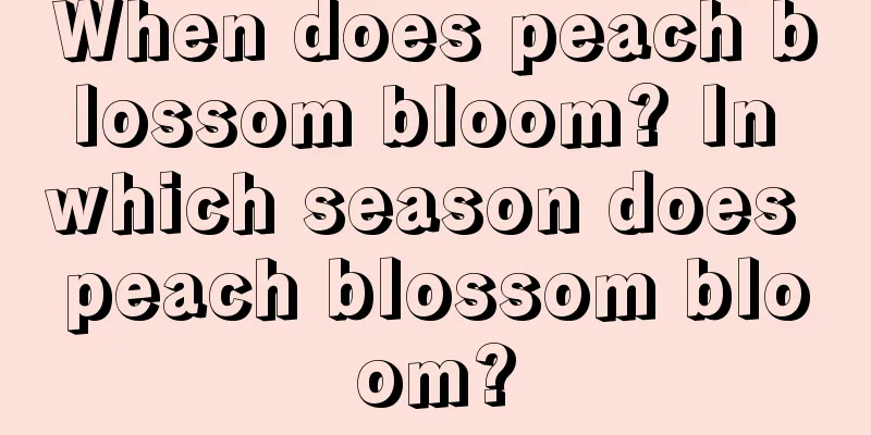 When does peach blossom bloom? In which season does peach blossom bloom?