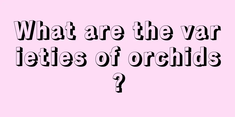 What are the varieties of orchids?