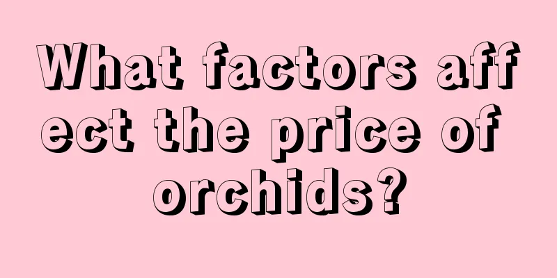 What factors affect the price of orchids?