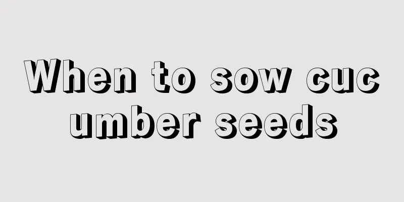 When to sow cucumber seeds