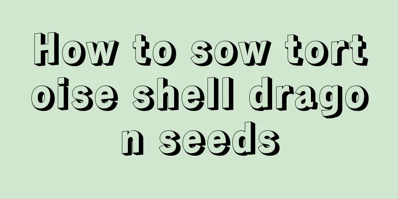 How to sow tortoise shell dragon seeds