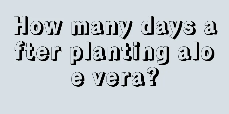 How many days after planting aloe vera?