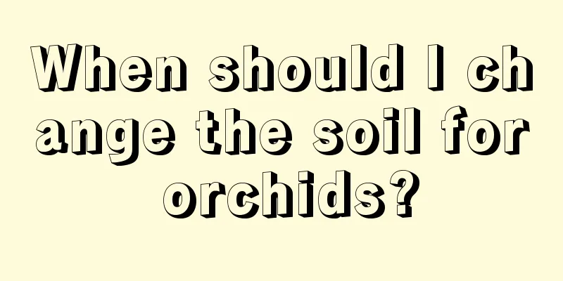 When should I change the soil for orchids?