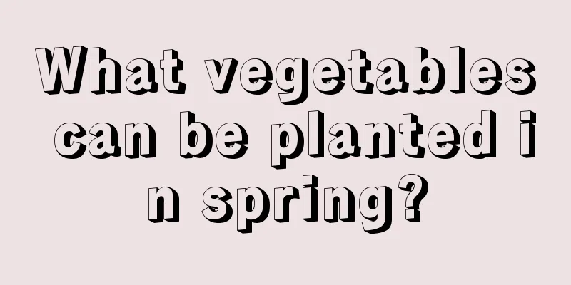 What vegetables can be planted in spring?