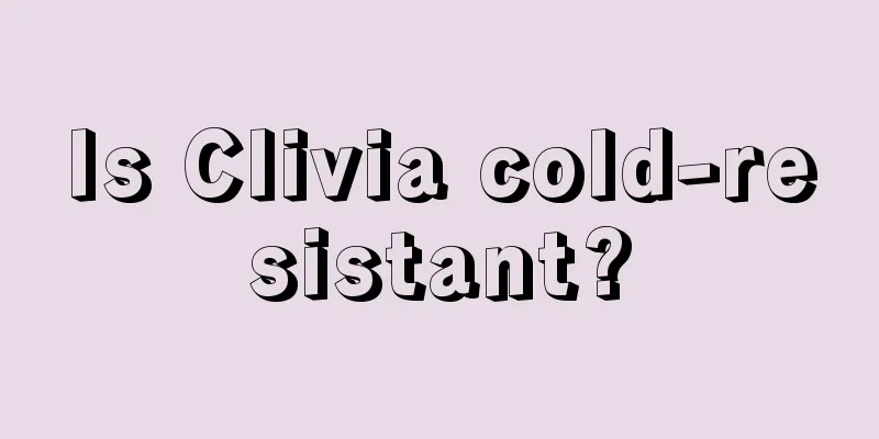 Is Clivia cold-resistant?