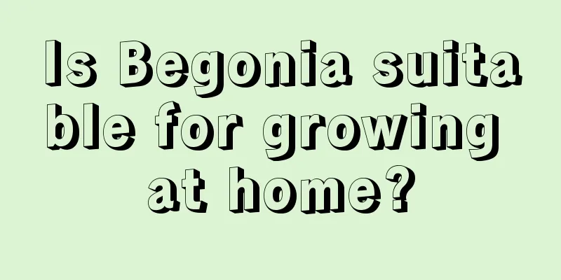 Is Begonia suitable for growing at home?