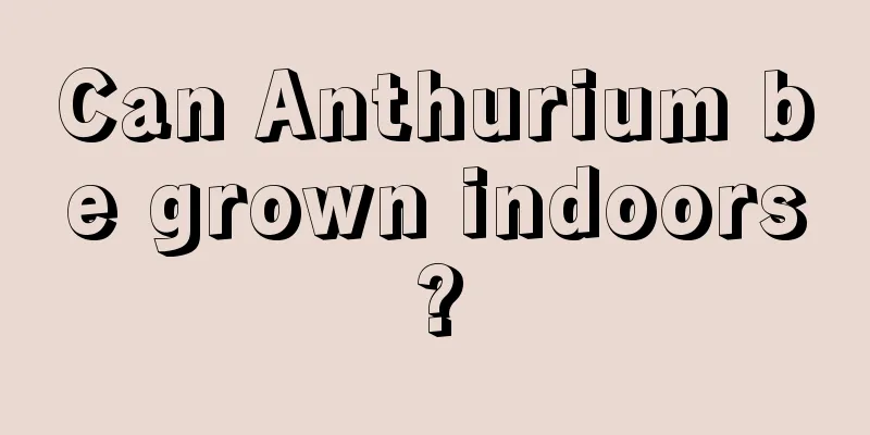 Can Anthurium be grown indoors?