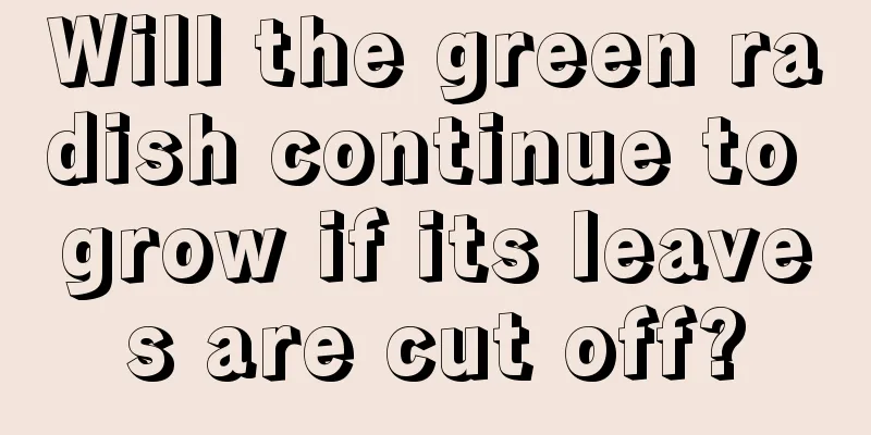 Will the green radish continue to grow if its leaves are cut off?