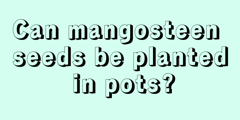 Can mangosteen seeds be planted in pots?