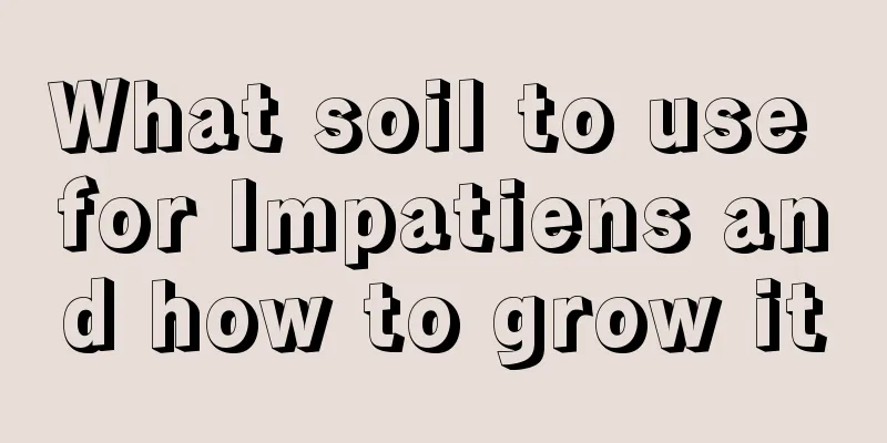 What soil to use for Impatiens and how to grow it