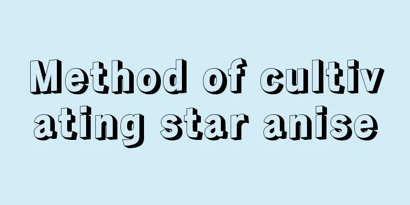 Method of cultivating star anise