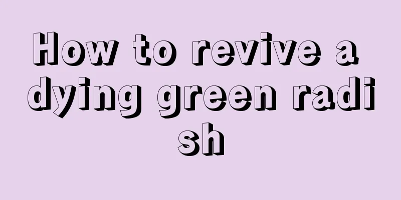 How to revive a dying green radish