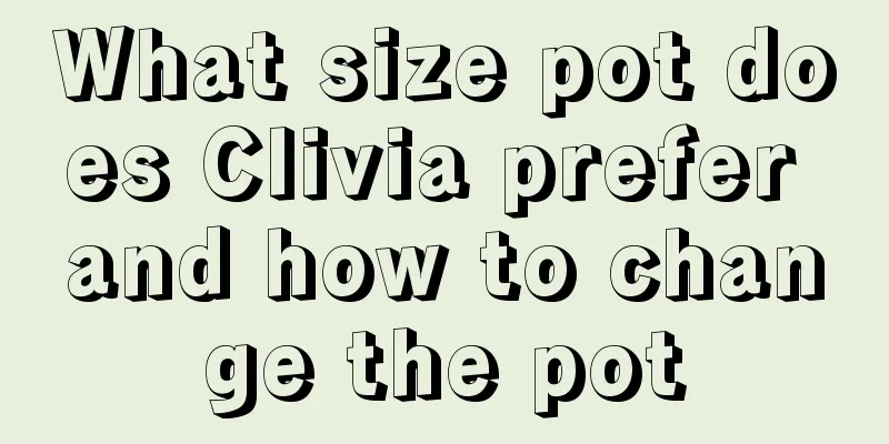 What size pot does Clivia prefer and how to change the pot