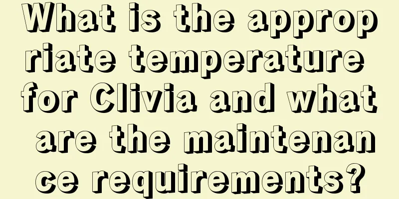 What is the appropriate temperature for Clivia and what are the maintenance requirements?