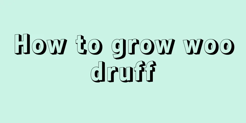 How to grow woodruff