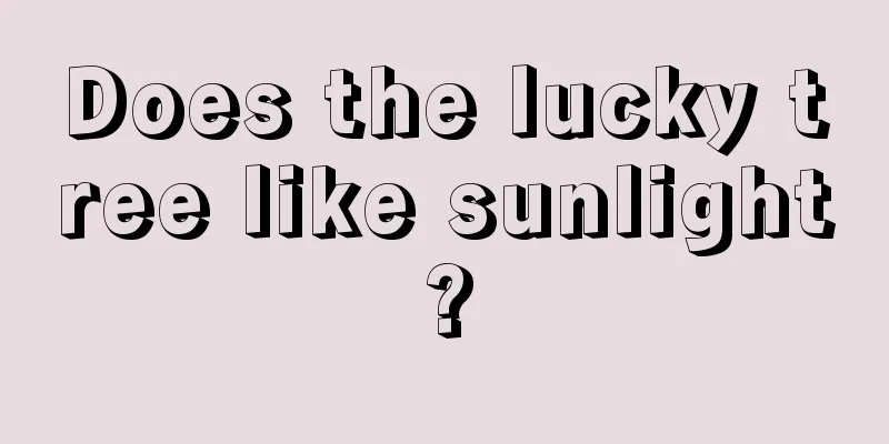 Does the lucky tree like sunlight?