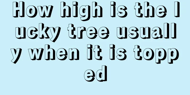 How high is the lucky tree usually when it is topped