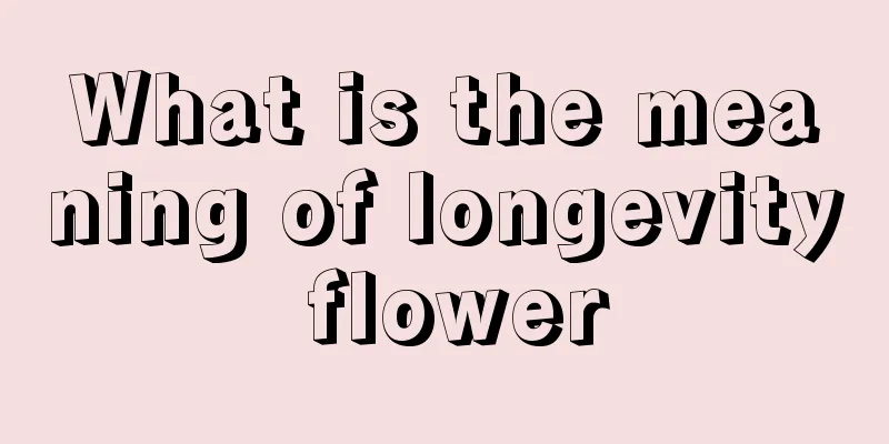 What is the meaning of longevity flower