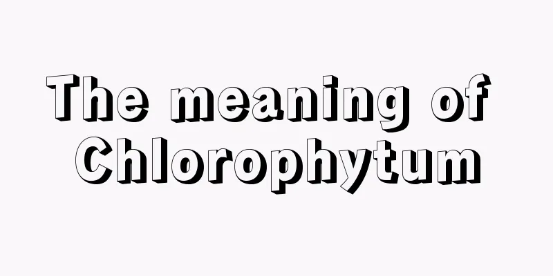 The meaning of Chlorophytum