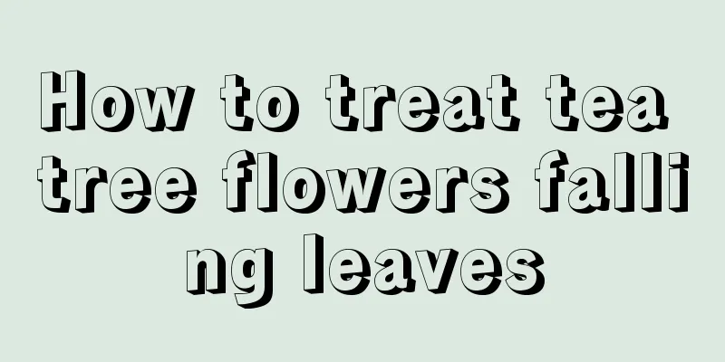 How to treat tea tree flowers falling leaves