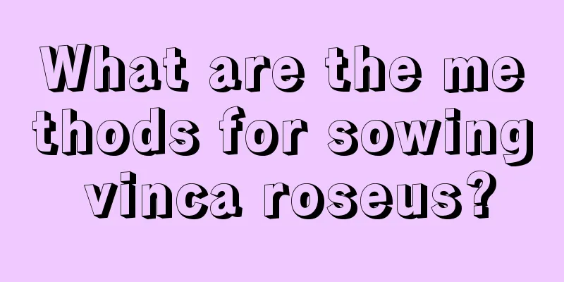 What are the methods for sowing vinca roseus?