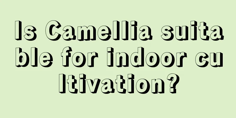 Is Camellia suitable for indoor cultivation?