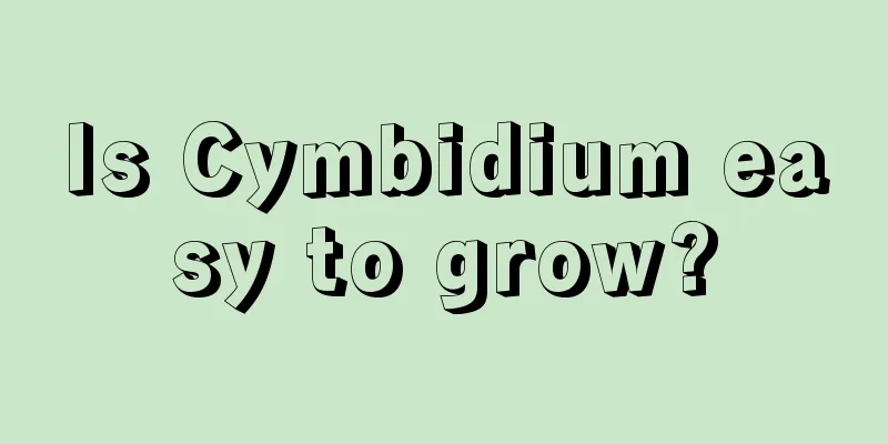 Is Cymbidium easy to grow?