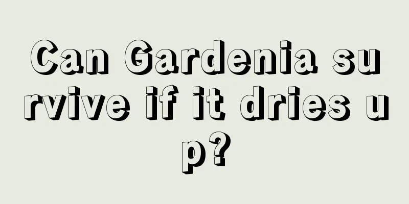 Can Gardenia survive if it dries up?