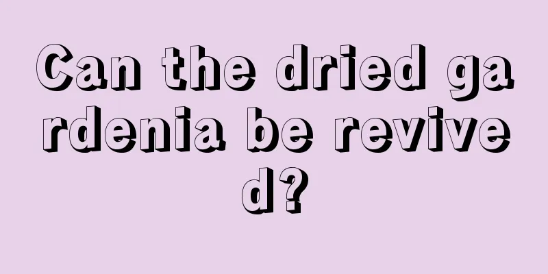 Can the dried gardenia be revived?