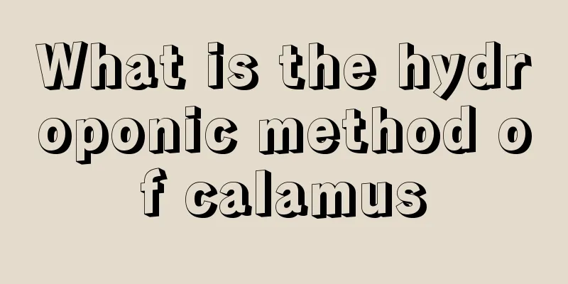 What is the hydroponic method of calamus