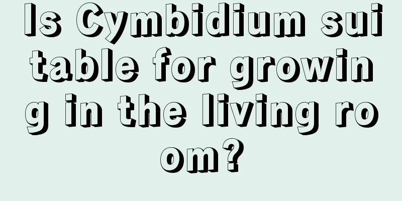 Is Cymbidium suitable for growing in the living room?