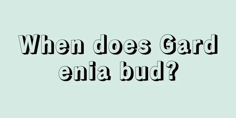 When does Gardenia bud?