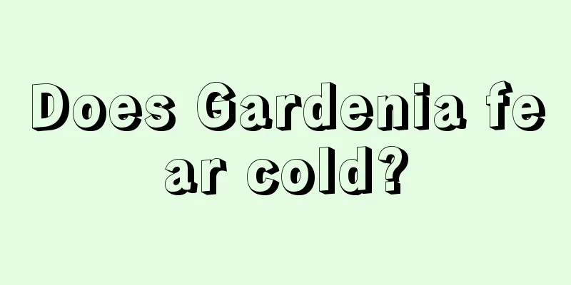 Does Gardenia fear cold?