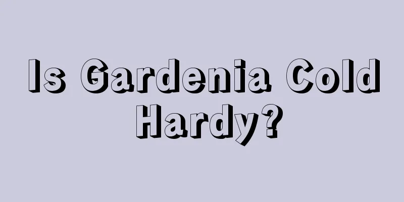 Is Gardenia Cold Hardy?