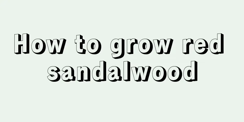 How to grow red sandalwood