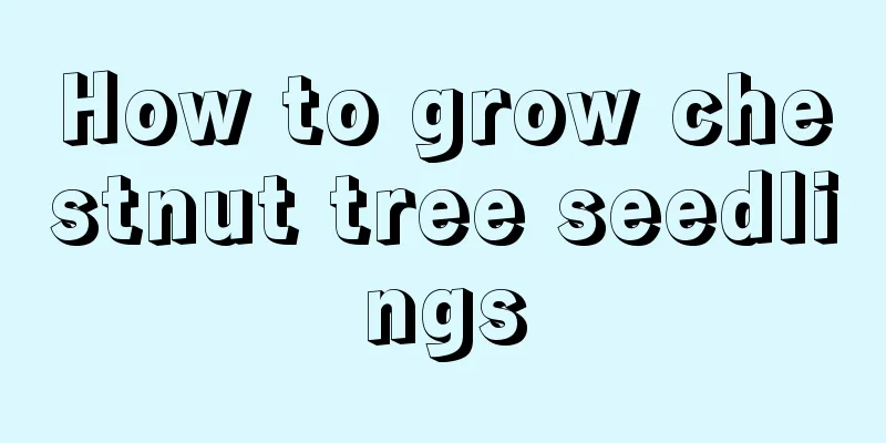 How to grow chestnut tree seedlings